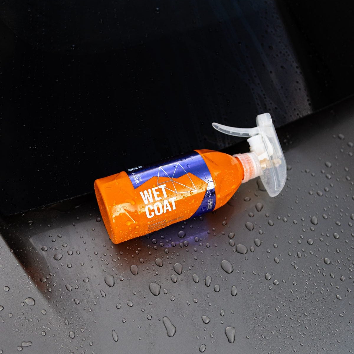 PRODUCTOS PARA PROTEGER Y ABRILLANTAR LA PINTURA